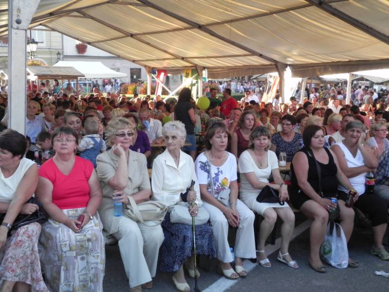 Święto Wina w Środzie Śląskiej 2011