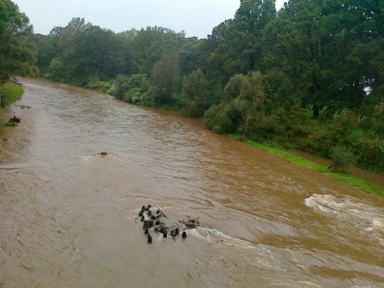 Kamieniec Ząbkowicki