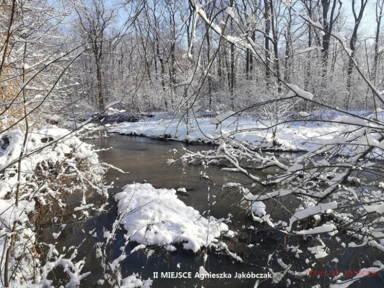 Konkurs fotograficzny "Zima w obiektywie"