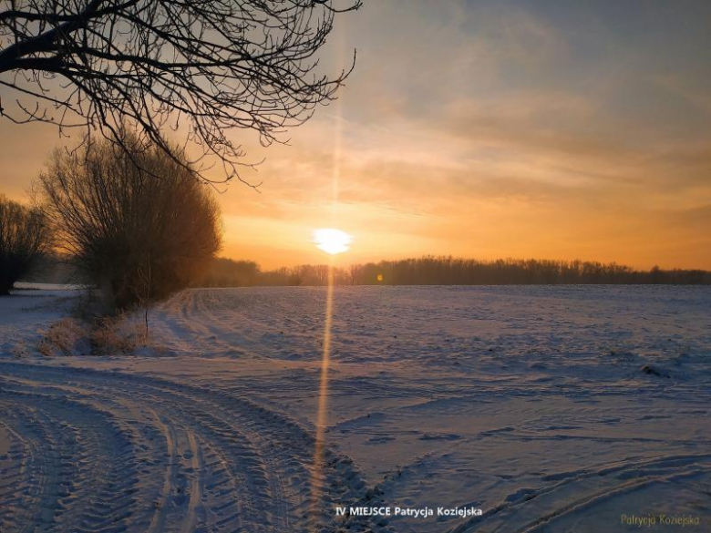Konkurs fotograficzny "Zima w obiektywie"