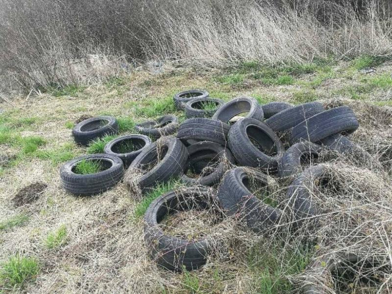 Wyrzucone śmieci przy drodze w Świdnicy Polskiej