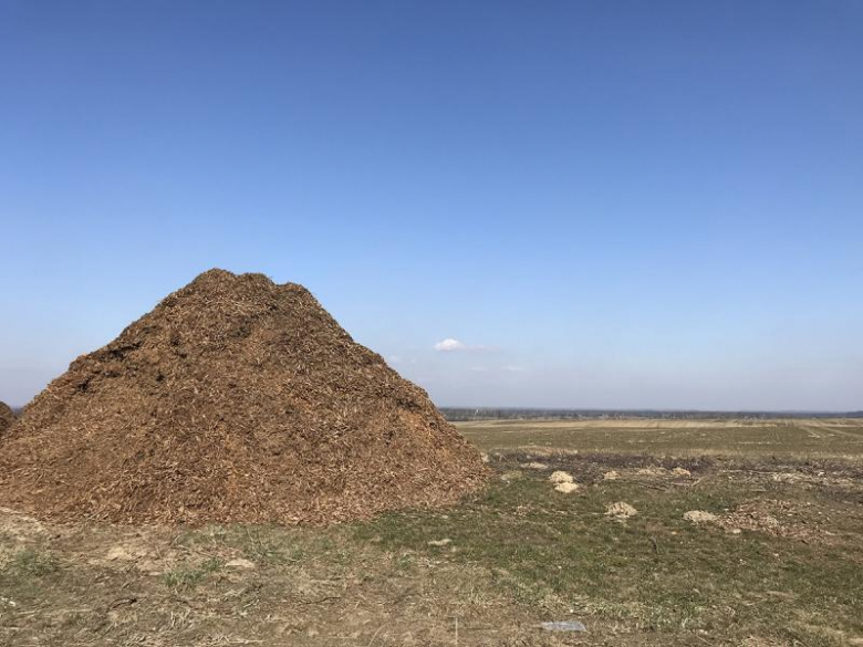 Wycięty sad na Winnej Górze