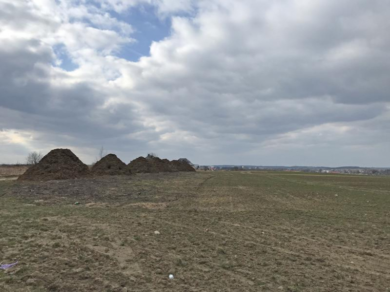 Wycięty sad na Winnej Górze