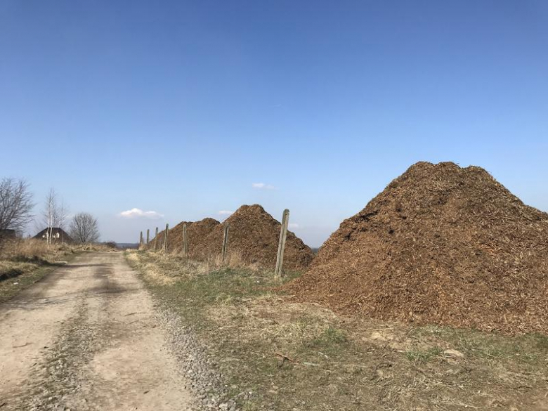 Wycięty sad na Winnej Górze