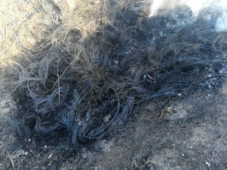 Ktoś podpalił stertę opon w Rakoszycach