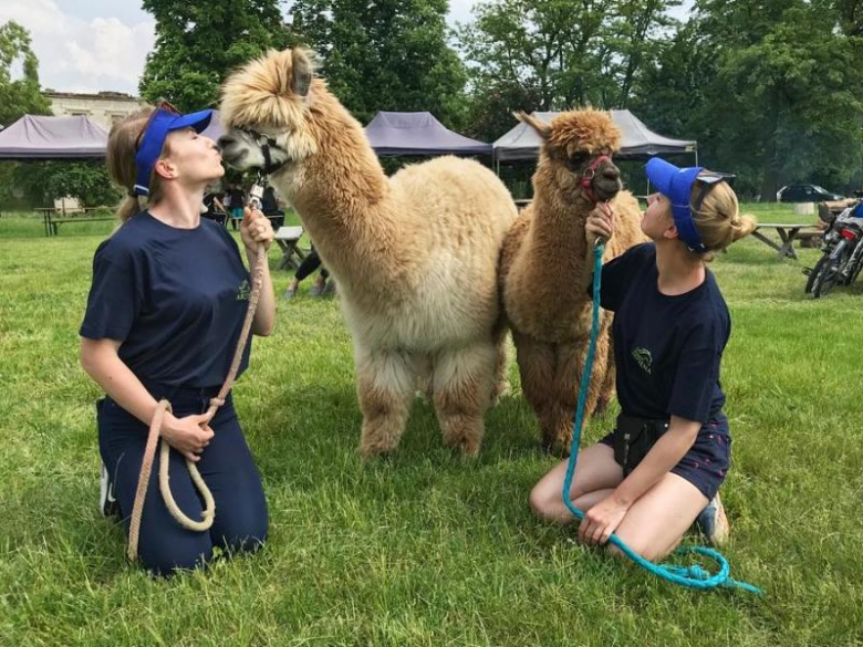 Stajnia Ardena w Gałowie