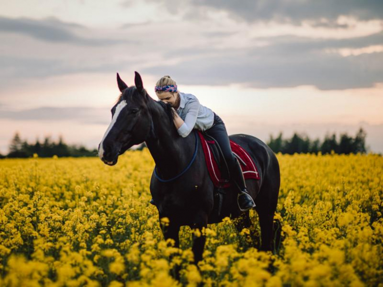 Stajnia Ardena w Gałowie