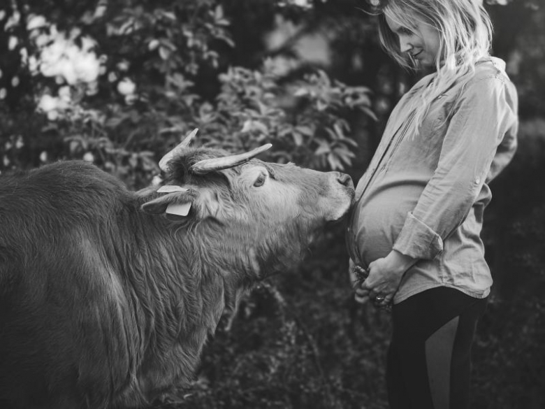 Stajnia Ardena w Gałowie