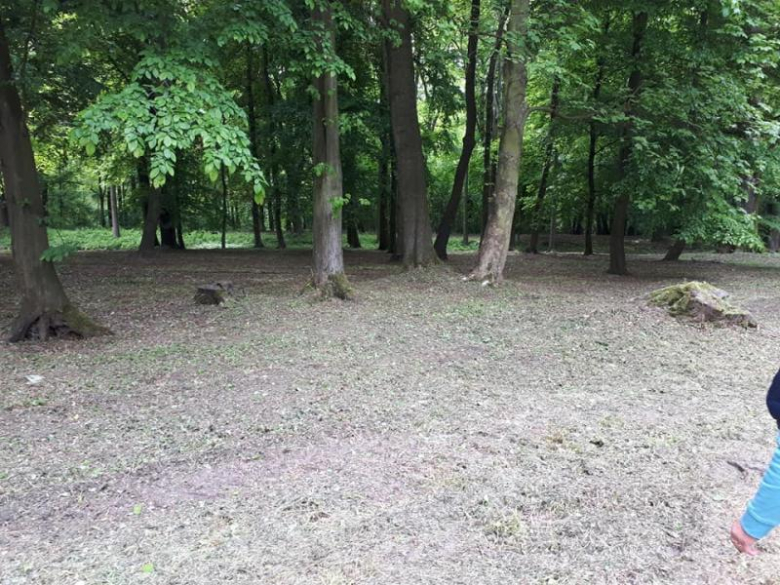 Urzędnicy wysprzątali park w Piotrowicach
