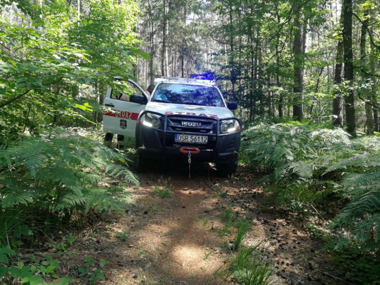 Relacja z poszukiwań zaginionego mężczyzny w gminie Miękinia