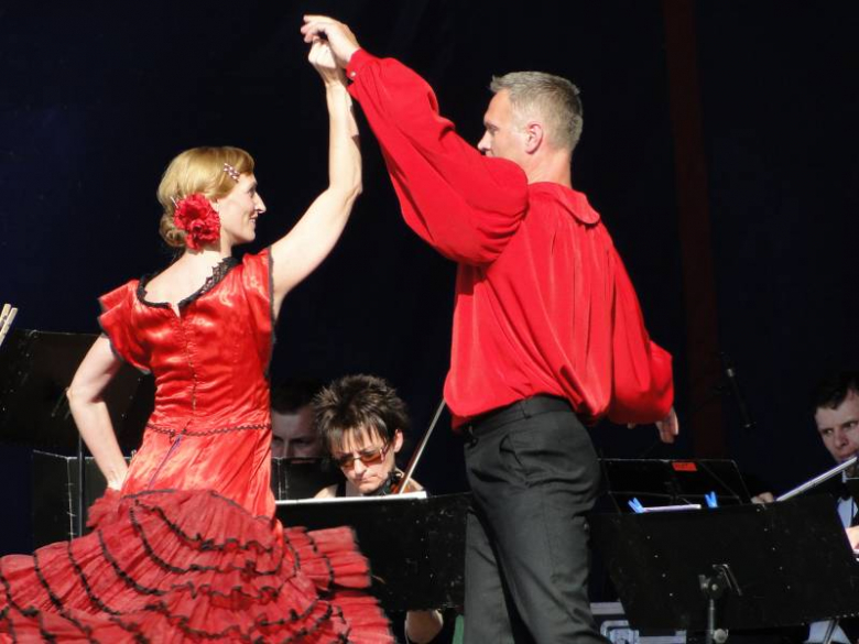 Dni Środy Śląskiej 2011