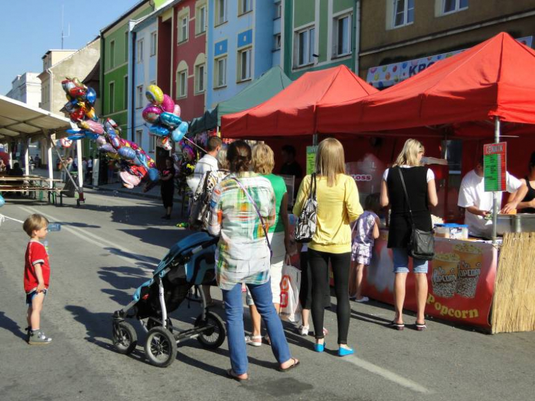 Dni Środy Śląskiej 2011