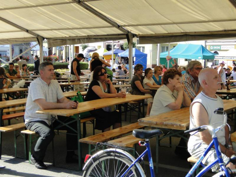 Dni Środy Śląskiej 2011