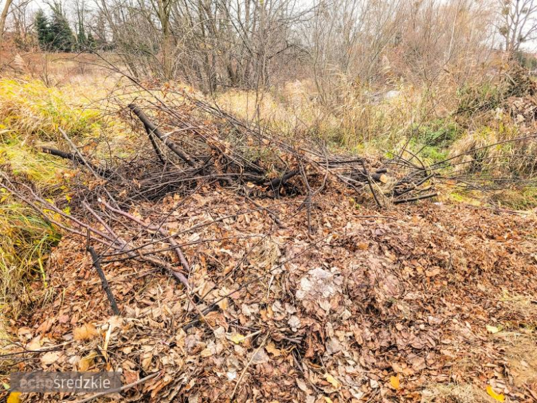 Bioodpady składowane za boiskiem przy ul. Górnej w Środzie Śląskie