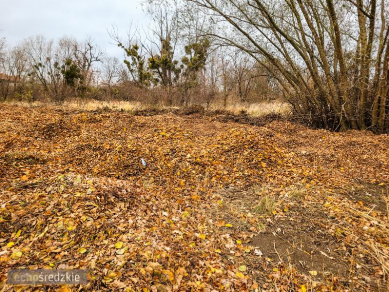 Bioodpady składowane za boiskiem przy ul. Górnej w Środzie Śląskie