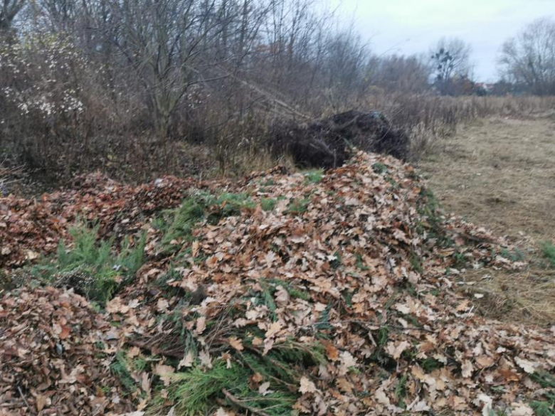 Bioodpady składowane za boiskiem przy ul. Górnej w Środzie Śląskie