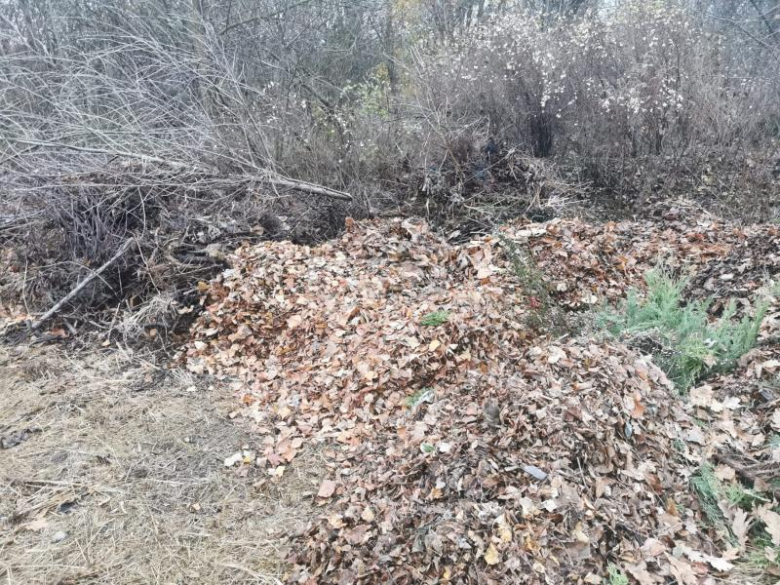 Bioodpady składowane za boiskiem przy ul. Górnej w Środzie Śląskie