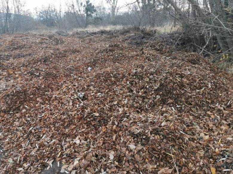 Bioodpady składowane za boiskiem przy ul. Górnej w Środzie Śląskie