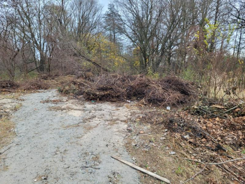 Bioodpady składowane za boiskiem przy ul. Górnej w Środzie Śląskie