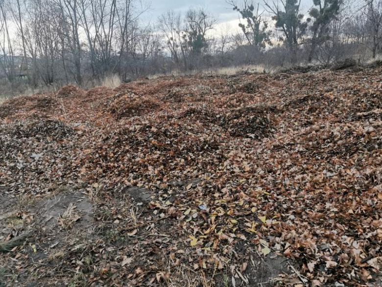 Bioodpady składowane za boiskiem przy ul. Górnej w Środzie Śląskie