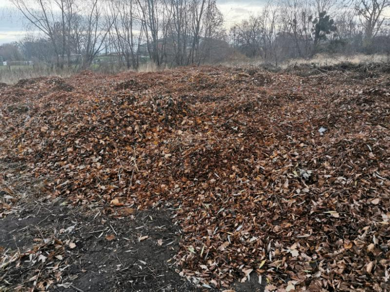 Bioodpady składowane za boiskiem przy ul. Górnej w Środzie Śląskie