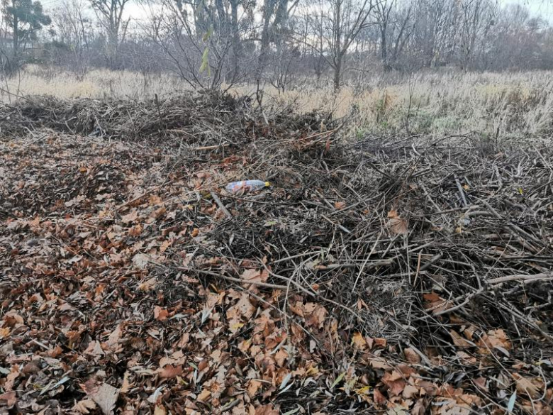 Bioodpady składowane za boiskiem przy ul. Górnej w Środzie Śląskie