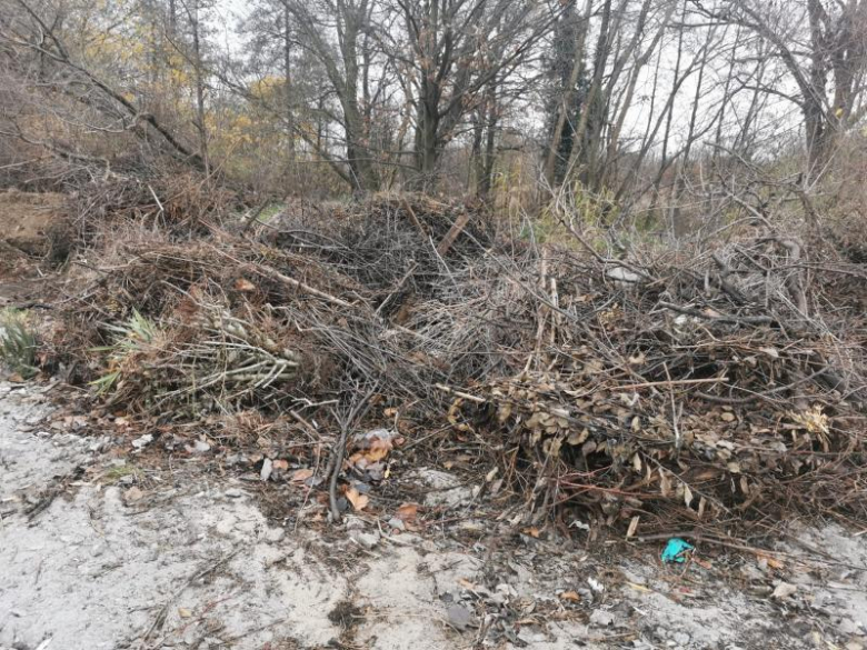 Bioodpady składowane za boiskiem przy ul. Górnej w Środzie Śląskie