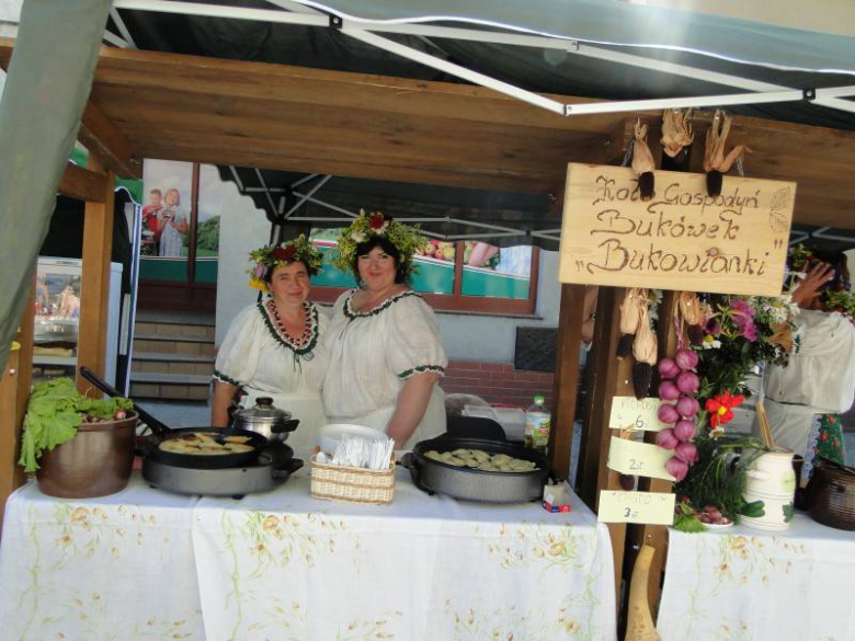 Dni Środy Śląskiej 2011