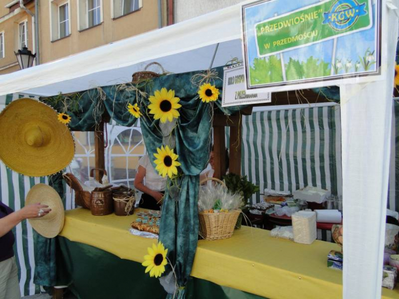 Dni Środy Śląskiej 2011