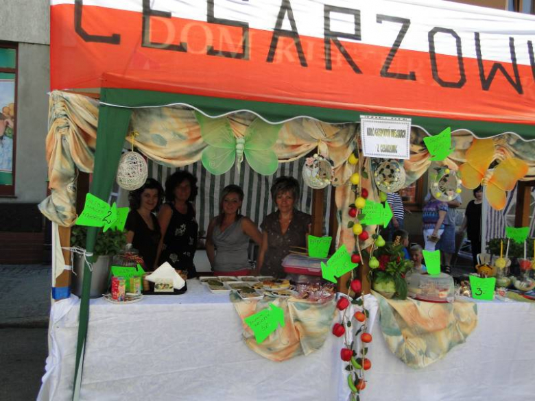 Dni Środy Śląskiej 2011