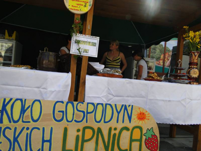 Dni Środy Śląskiej 2011