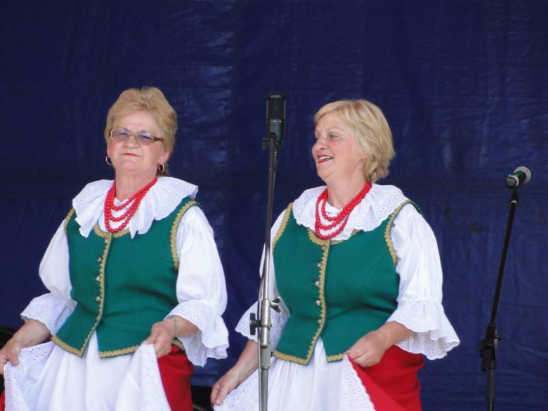 Dni Środy Śląskiej 2011