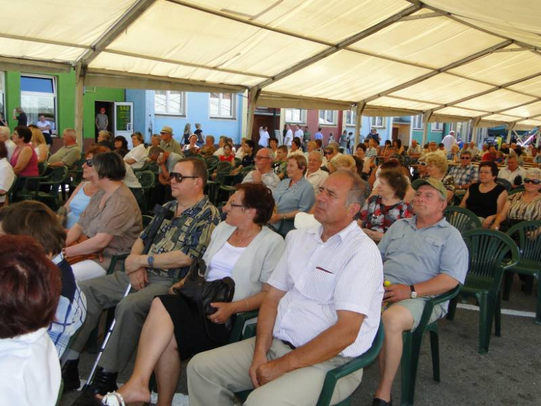 Dni Środy Śląskiej 2011