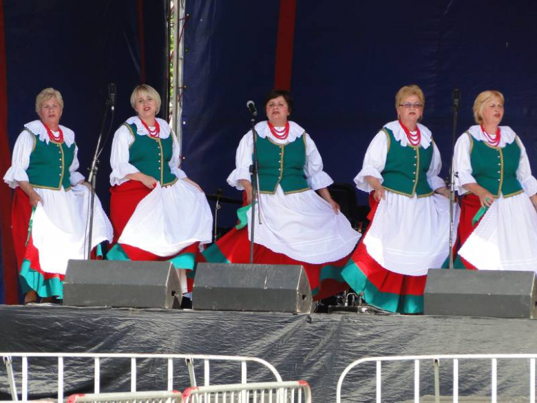 Dni Środy Śląskiej 2011