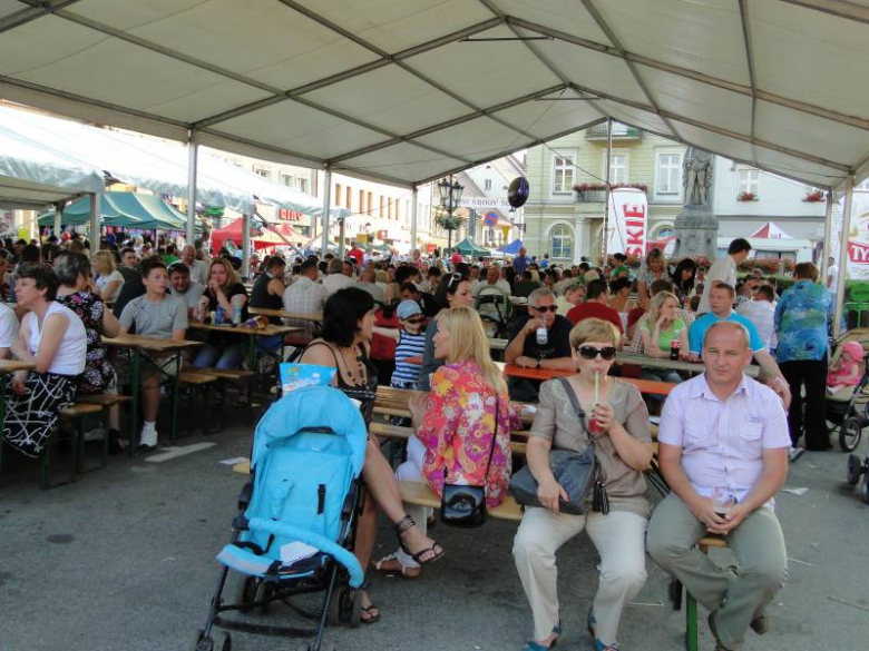 Dni Środy Śląskiej 2011