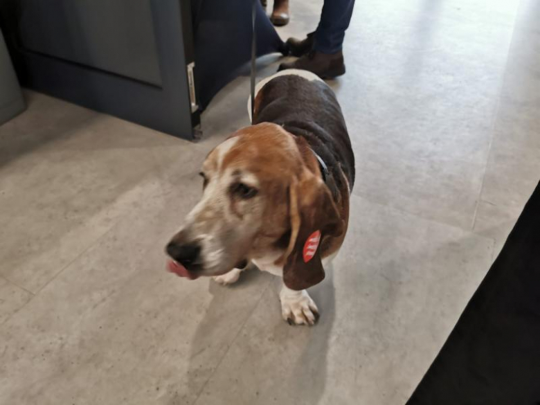 30. Finał Wielkiej Orkiestry Świątecznej Pomocy (Środa Śl. - Udanin)