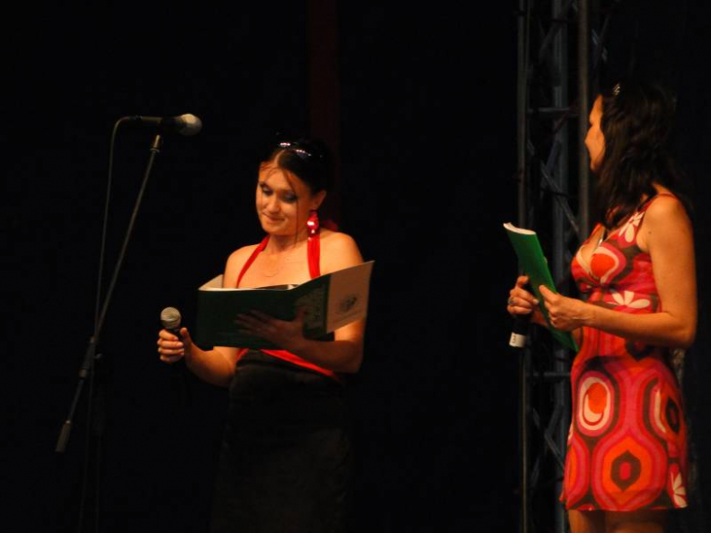 Dni Środy Śląskiej 2011