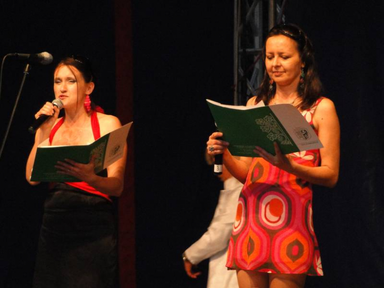 Dni Środy Śląskiej 2011