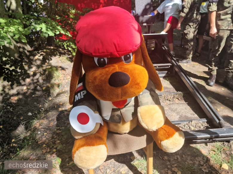 Gra terenowa "Bezpieczny Senior" w Mrozowie