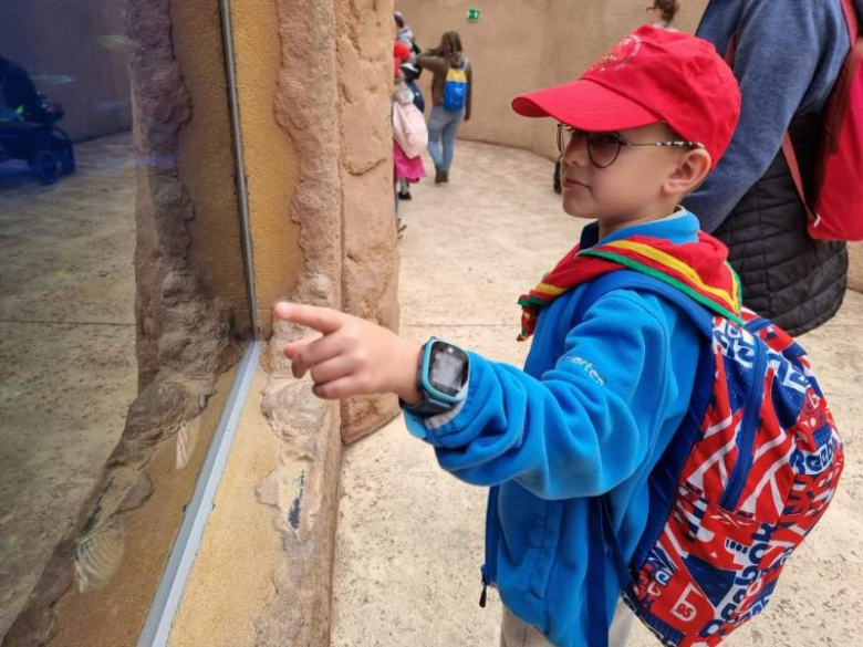 Zuchy z 36. GZ Ogniste Smoki odwiedził wrocławskie ZOO