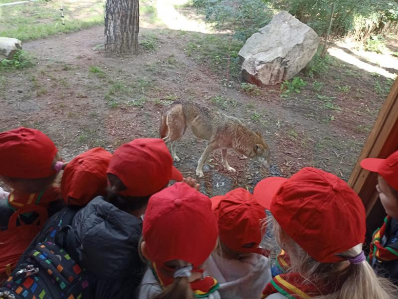 Zuchy z 36. GZ Ogniste Smoki odwiedził wrocławskie ZOO