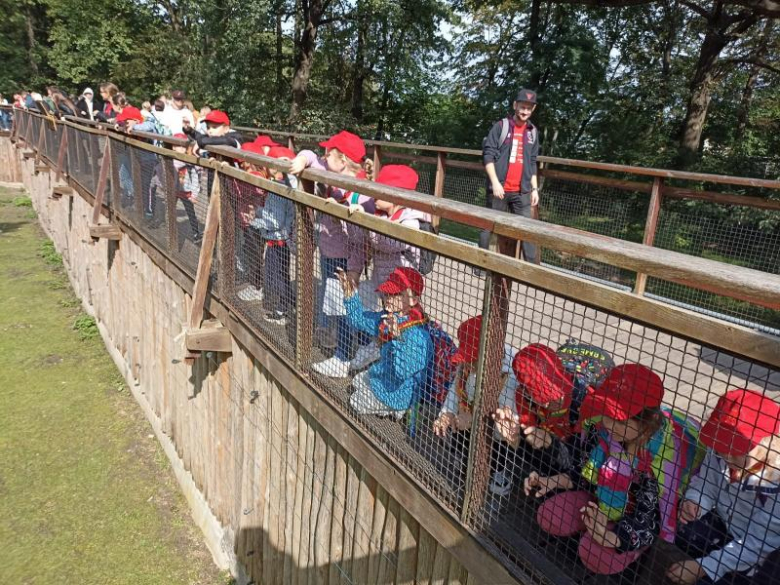 Zuchy z 36. GZ Ogniste Smoki odwiedził wrocławskie ZOO