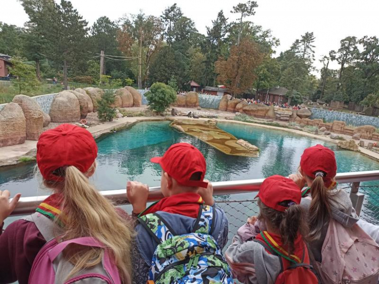 Zuchy z 36. GZ Ogniste Smoki odwiedził wrocławskie ZOO