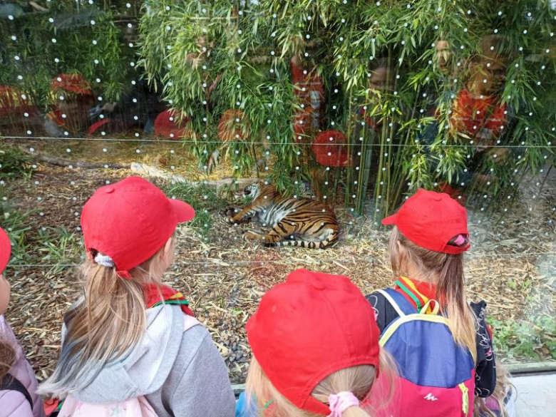 Zuchy z 36. GZ Ogniste Smoki odwiedził wrocławskie ZOO