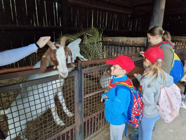 Zuchy z 36. GZ Ogniste Smoki odwiedził wrocławskie ZOO