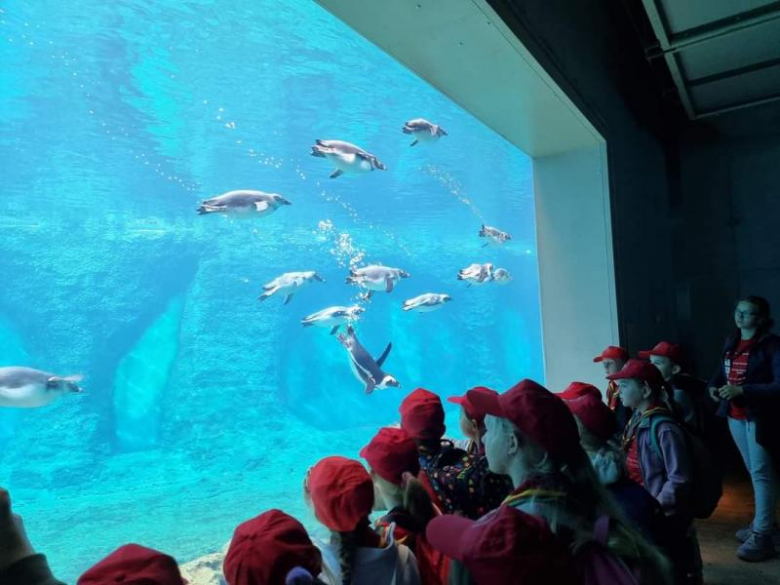 Zuchy z 36. GZ Ogniste Smoki odwiedził wrocławskie ZOO