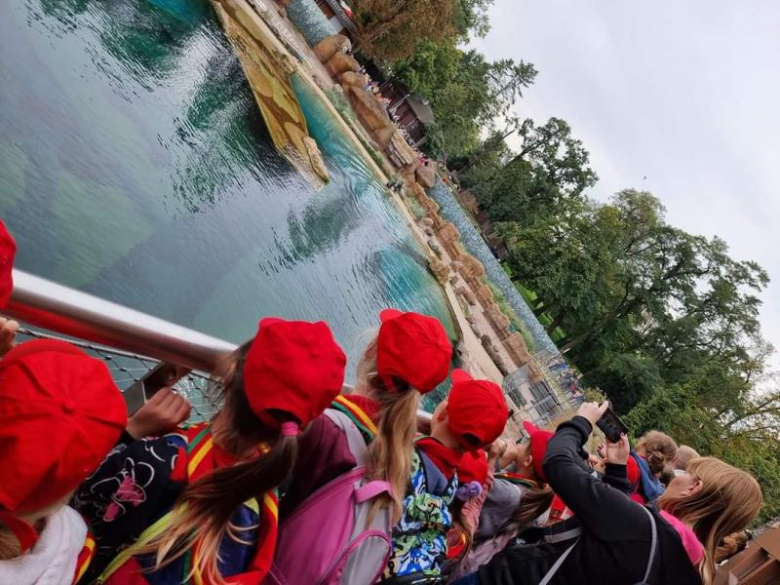 Zuchy z 36. GZ Ogniste Smoki odwiedził wrocławskie ZOO