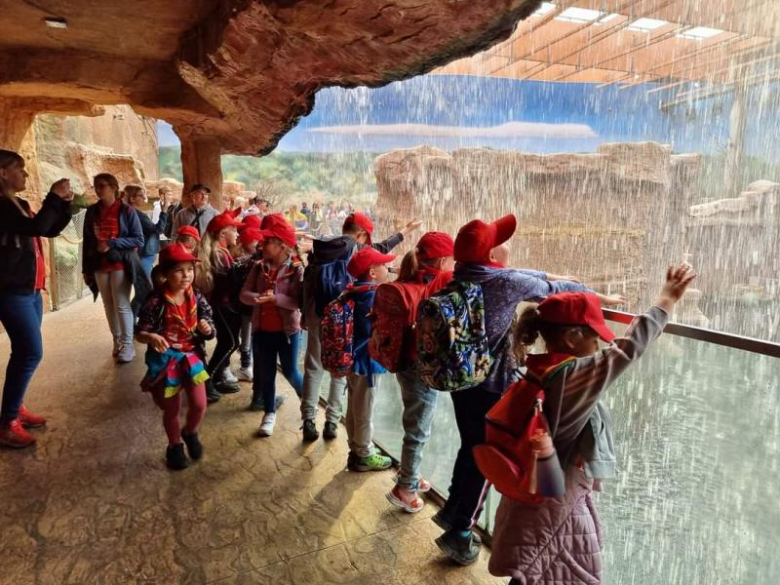 Zuchy z 36. GZ Ogniste Smoki odwiedził wrocławskie ZOO