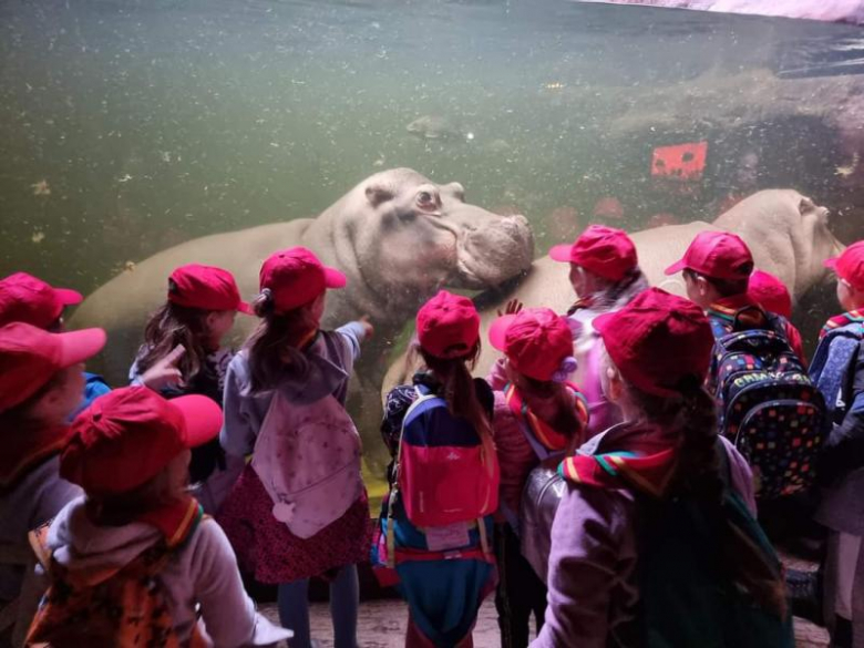 Zuchy z 36. GZ Ogniste Smoki odwiedził wrocławskie ZOO