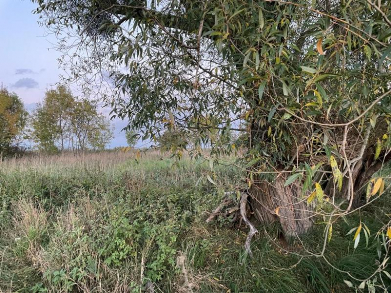 Tereny inwestycyjne na terenie Gminy Środa Śląska